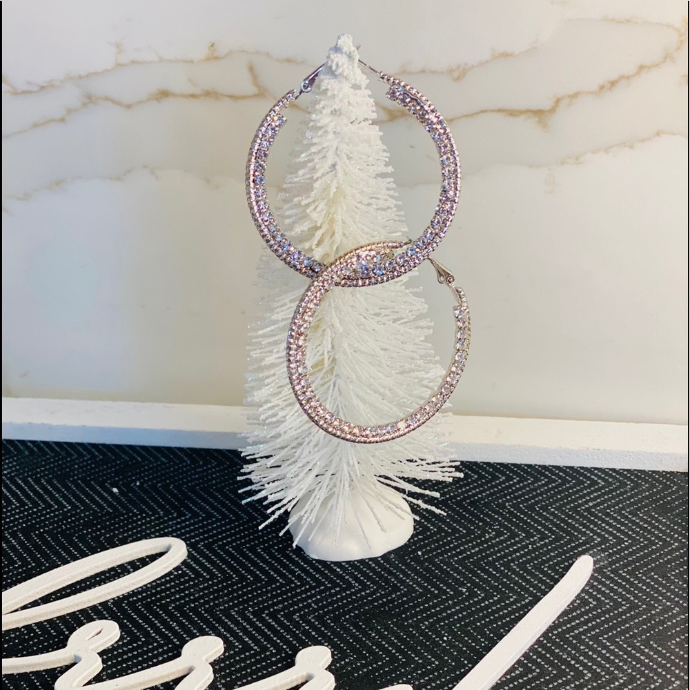 Hoop earrings with crystals NWT - Picture 2 of 4